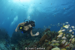 wonderful by Juan Cardona 